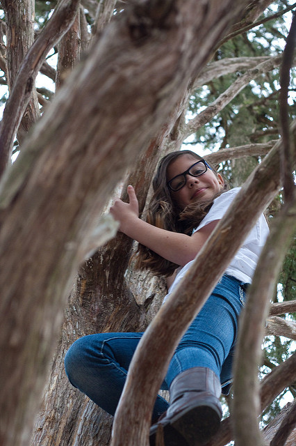Climbing trees