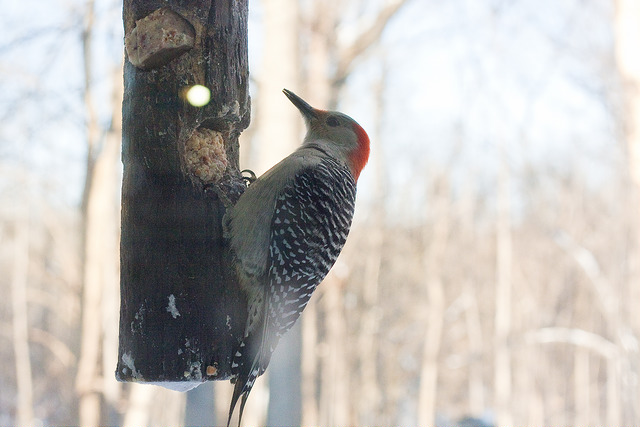 Explore a Nature Center