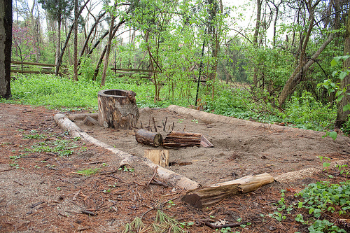 Charles and Marge Schott Nature Playscape