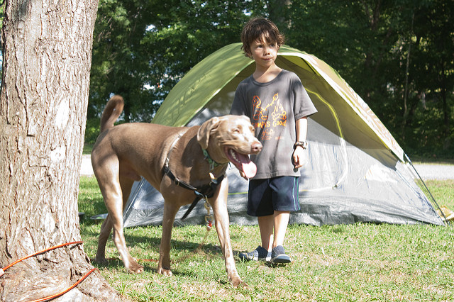 Kids & Tracking Technology via The Risky Kids Kids & Tracking Technology via The Risky Kids