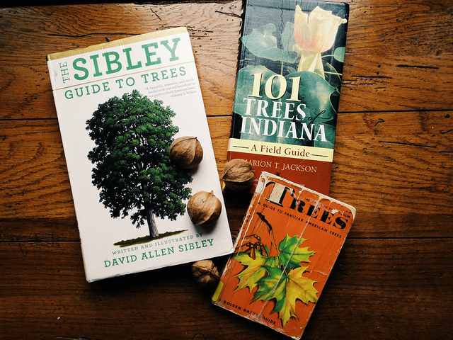 Field Guides for Trees Field Guides for Trees