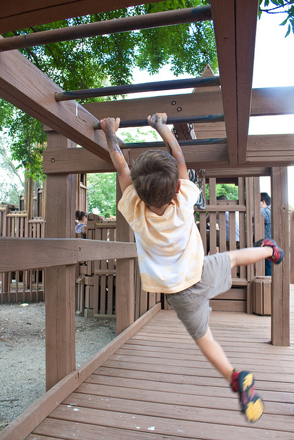 Junior Monkey Bars Junior Monkey Bars