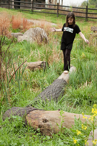 Charles and Marge Schott Nature Playscape