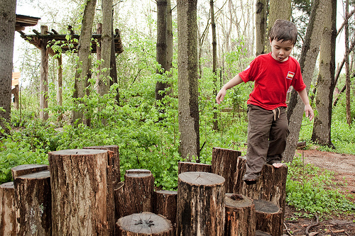 Charles and Marge Schott Nature Playscape