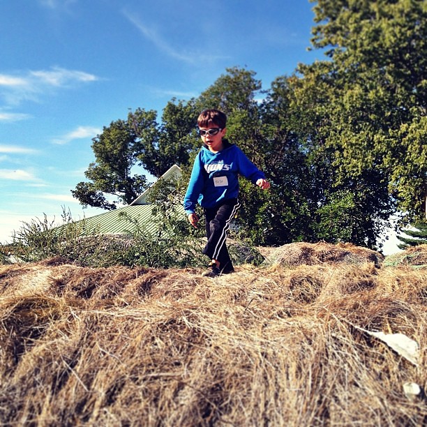 Hay Bale Jumping Hay Bale Jumping