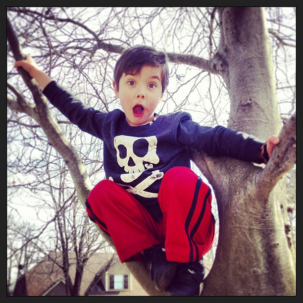 Climbing trees does a body good. Climbing trees does a body good.