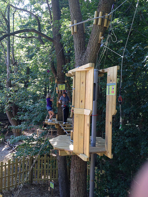 Go Ape, Indianapolis