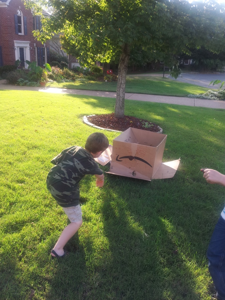 Throwing Rocks at a Target