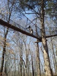 Adventureworks Adventureworks