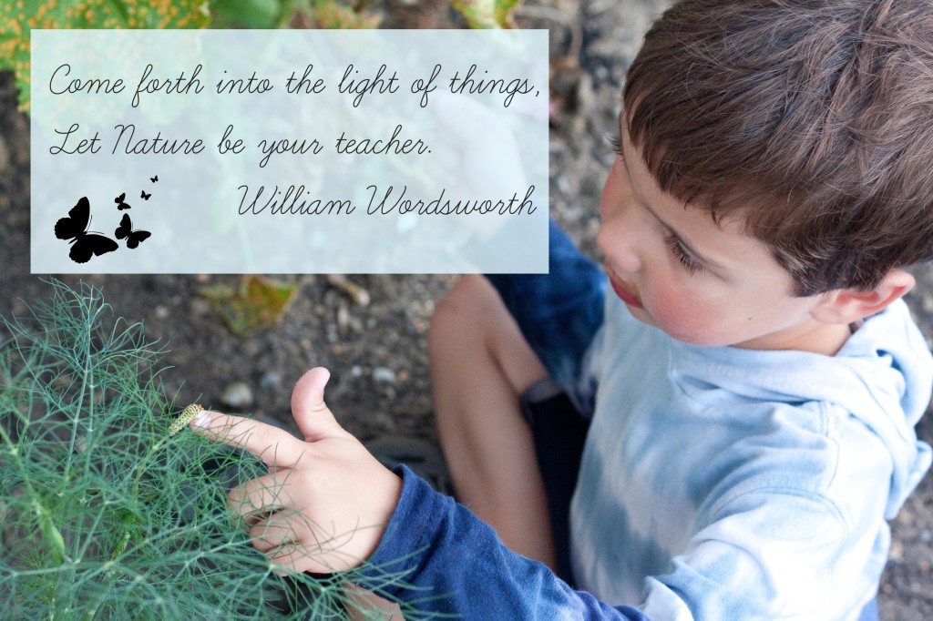 Let Nature be your teacher