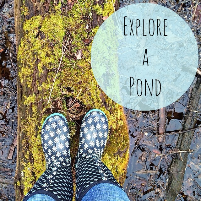 Explore a pond via The Risky Kids